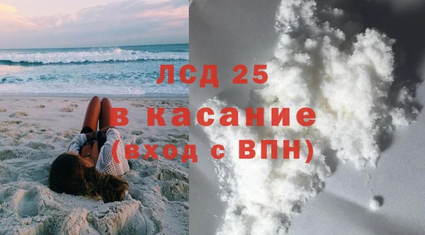 сатива Снежногорск