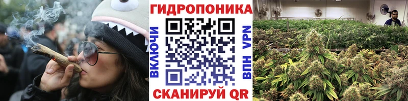 Бошки Шишки OG Kush  Волгоград 